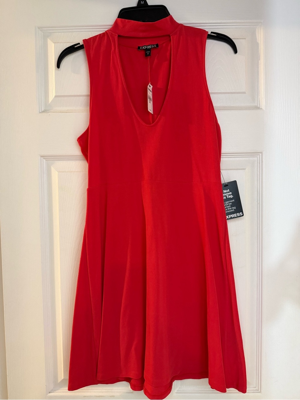 Express Red Sleeveless Dress